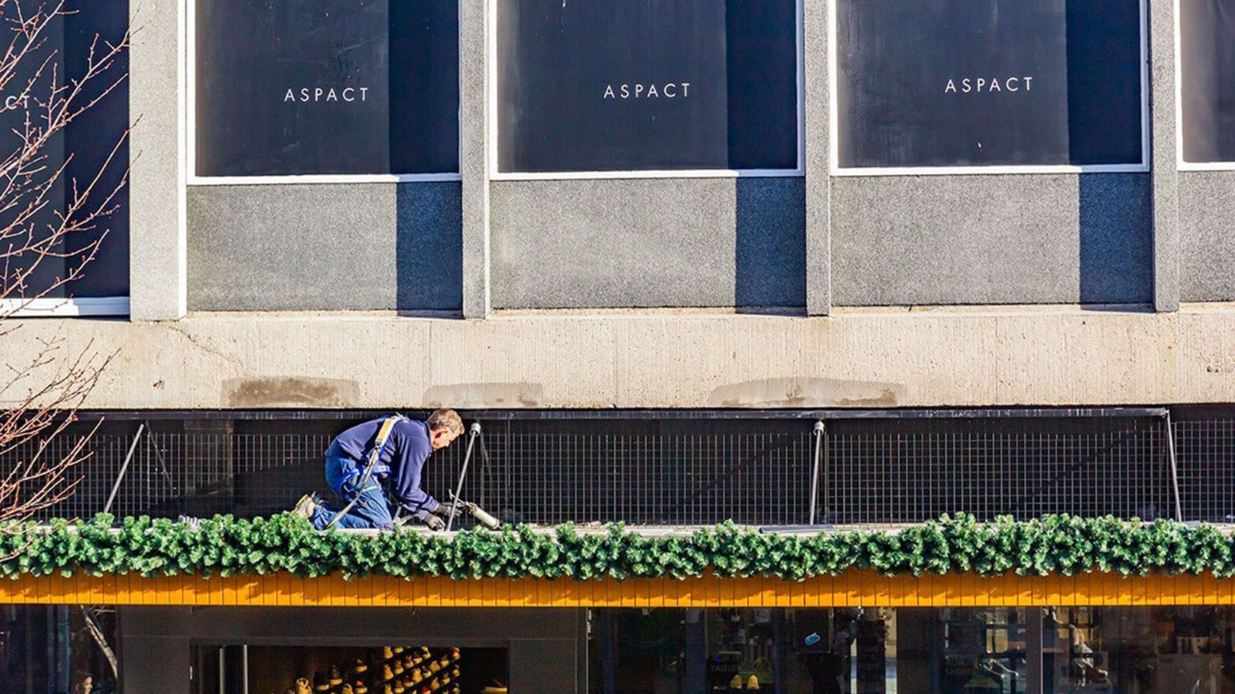 Vogelabwehr für Privatkunden