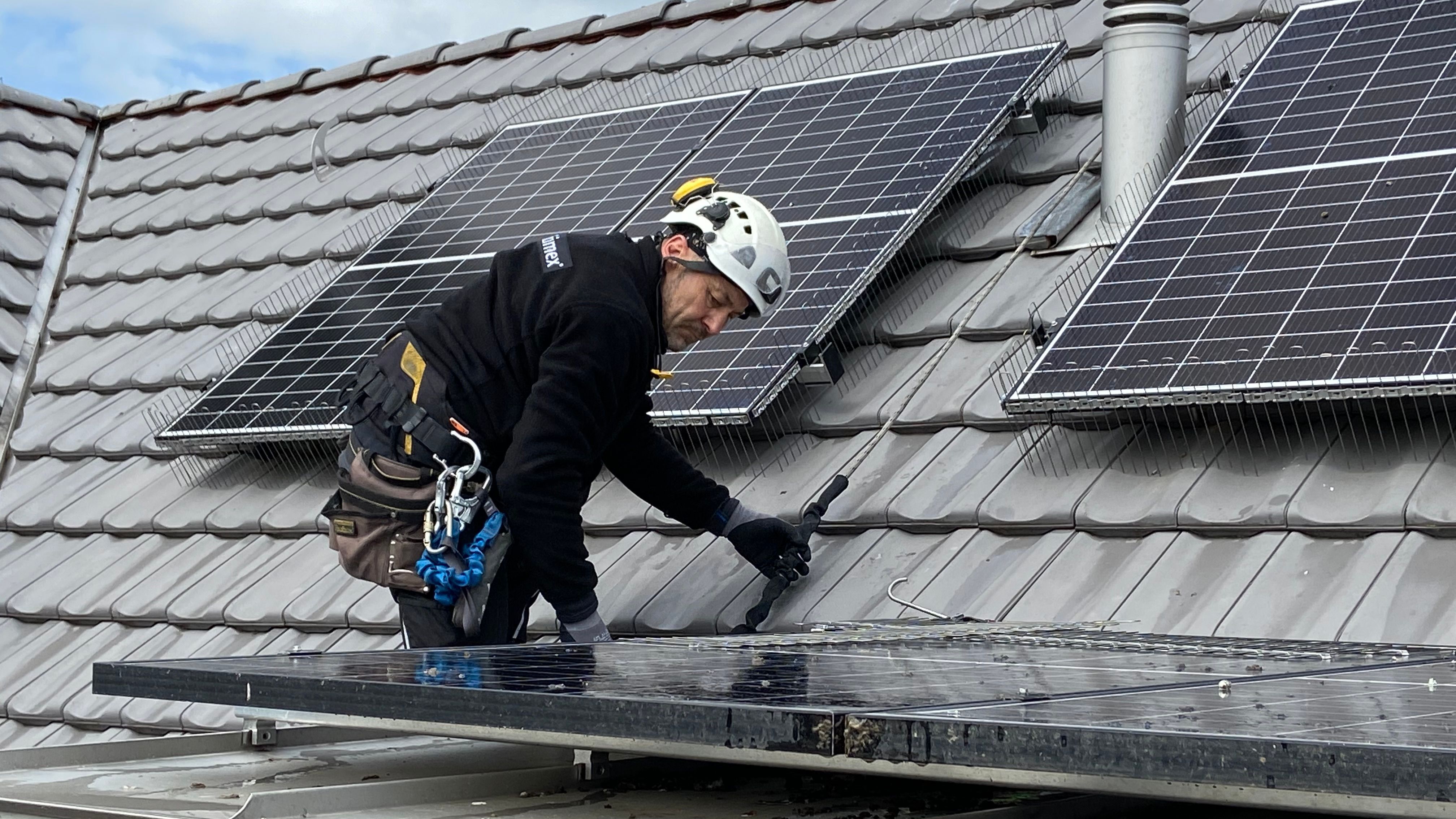 Taubenabwehr für Privatkunden