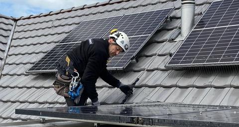 Taubenabwehr für Privatkunden