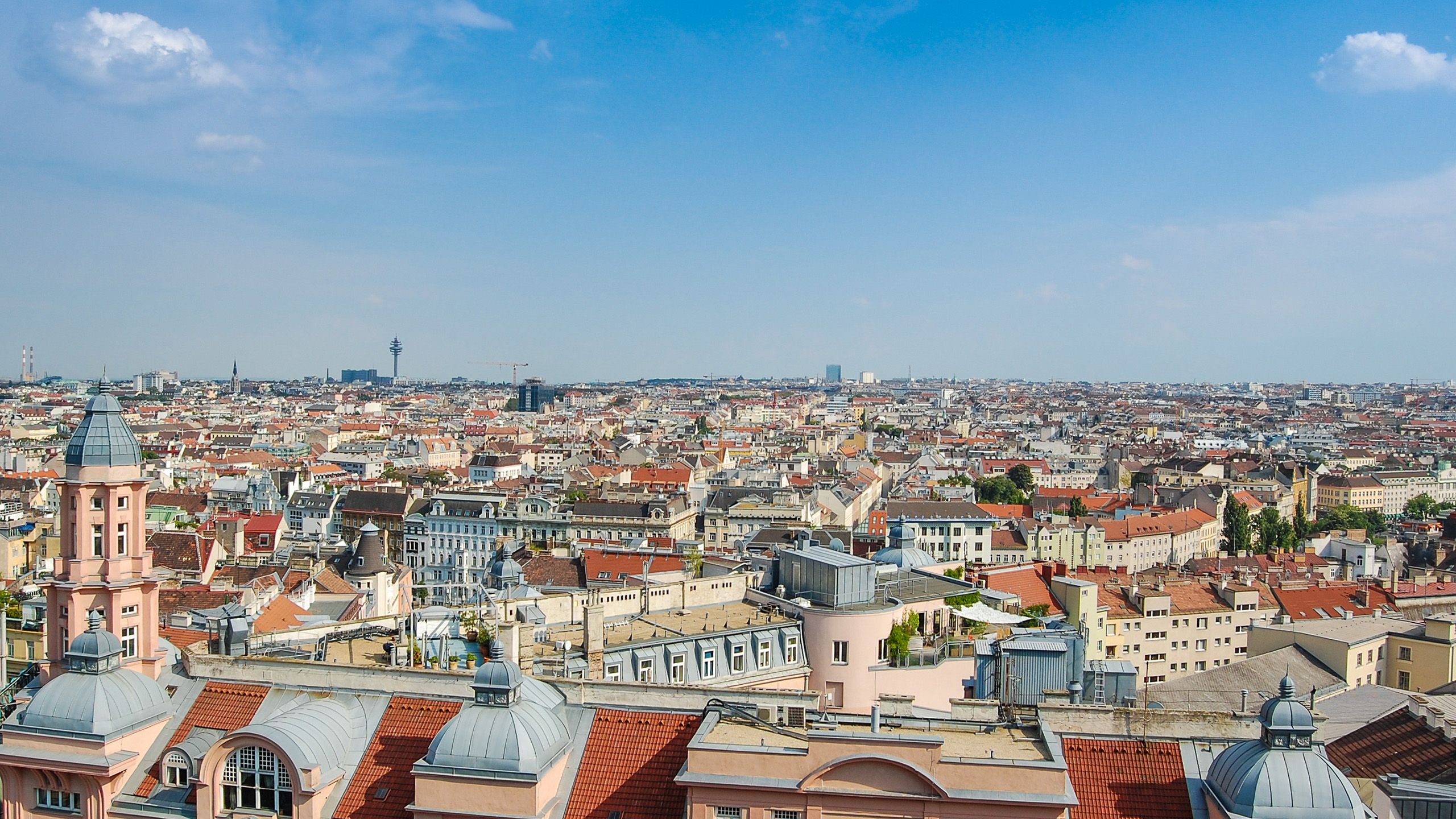 Taubenabwehr für Gemeinden