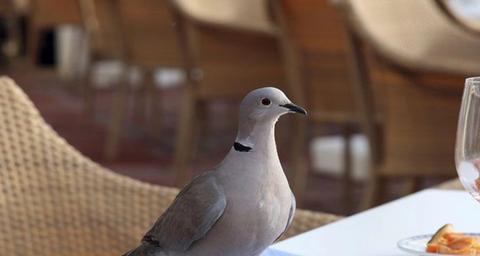 Außenbereiche in Hotels