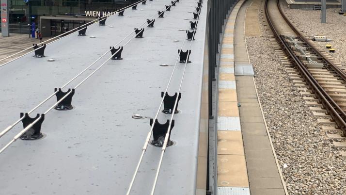 anti pigeon wire