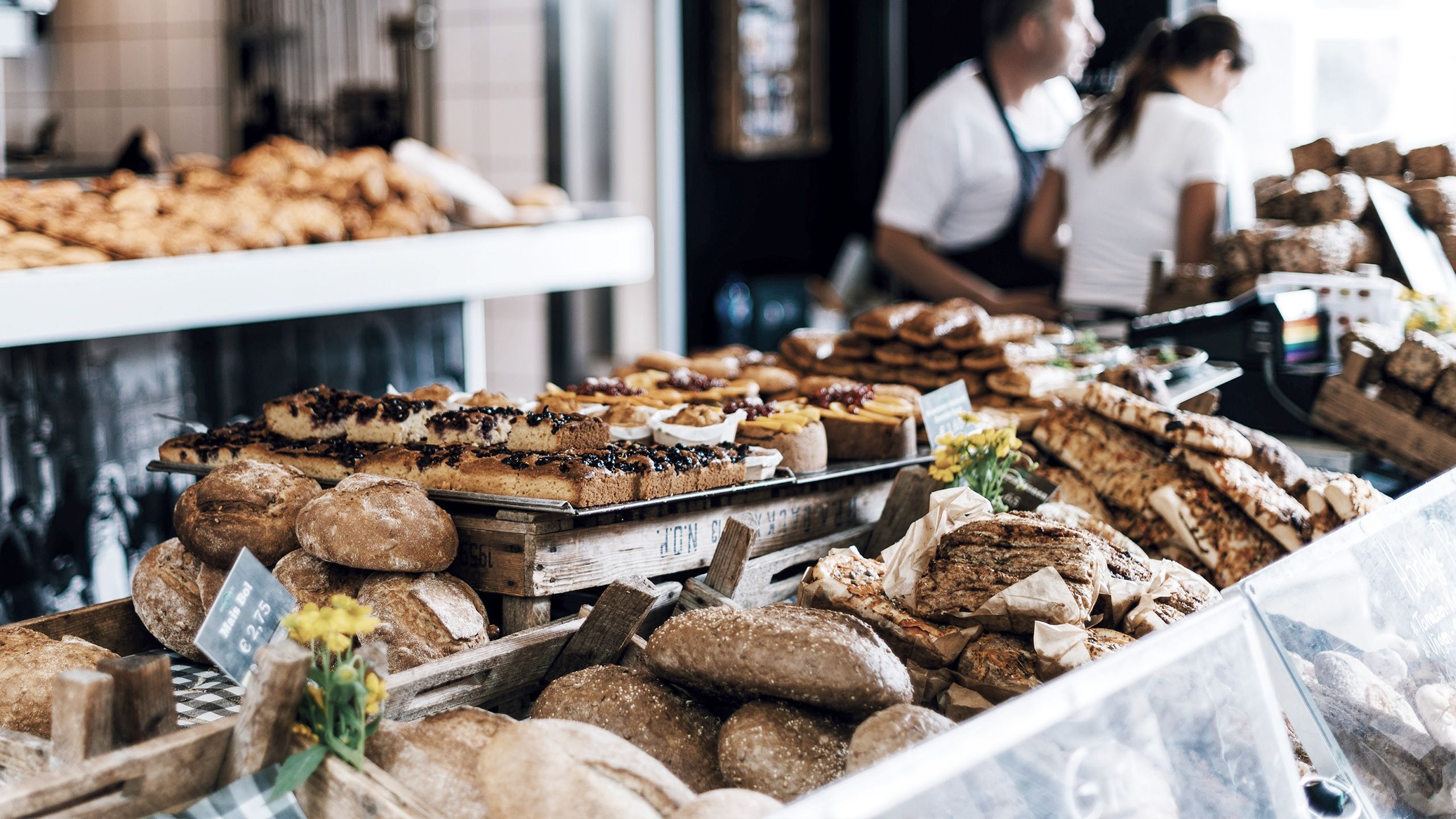 ratten-in-baeckereiauslage-blogheader