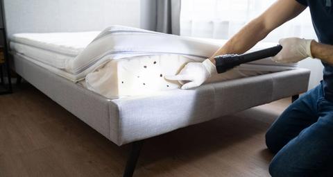 Schädlingsbekämpfung