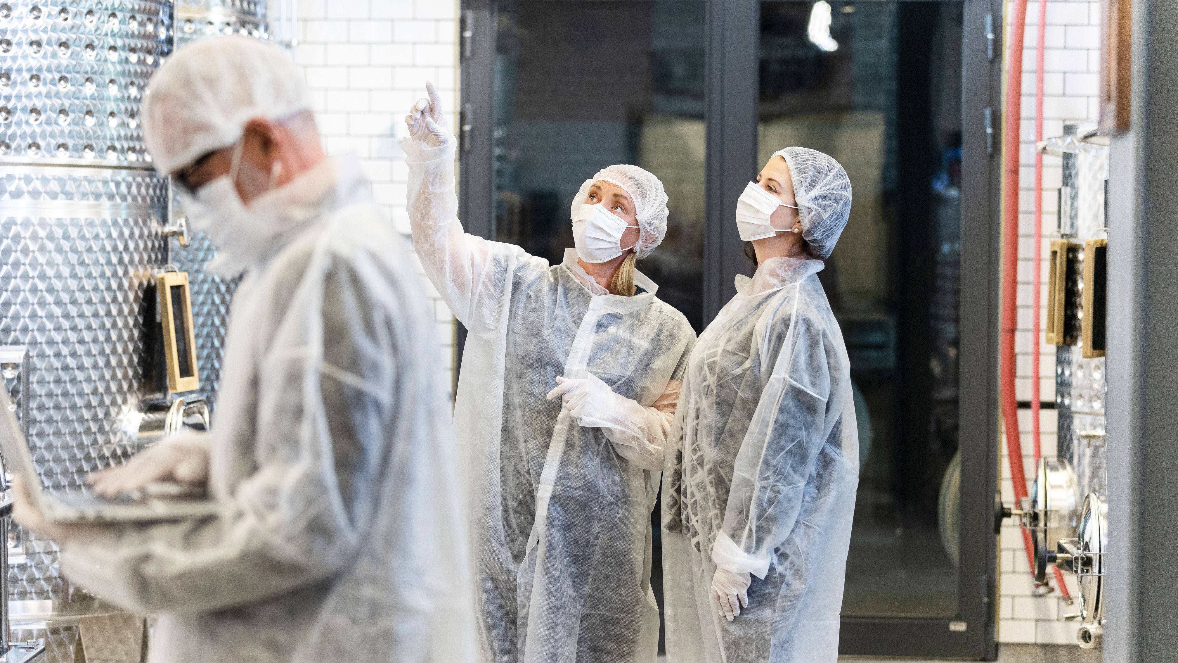 pest inspection factory