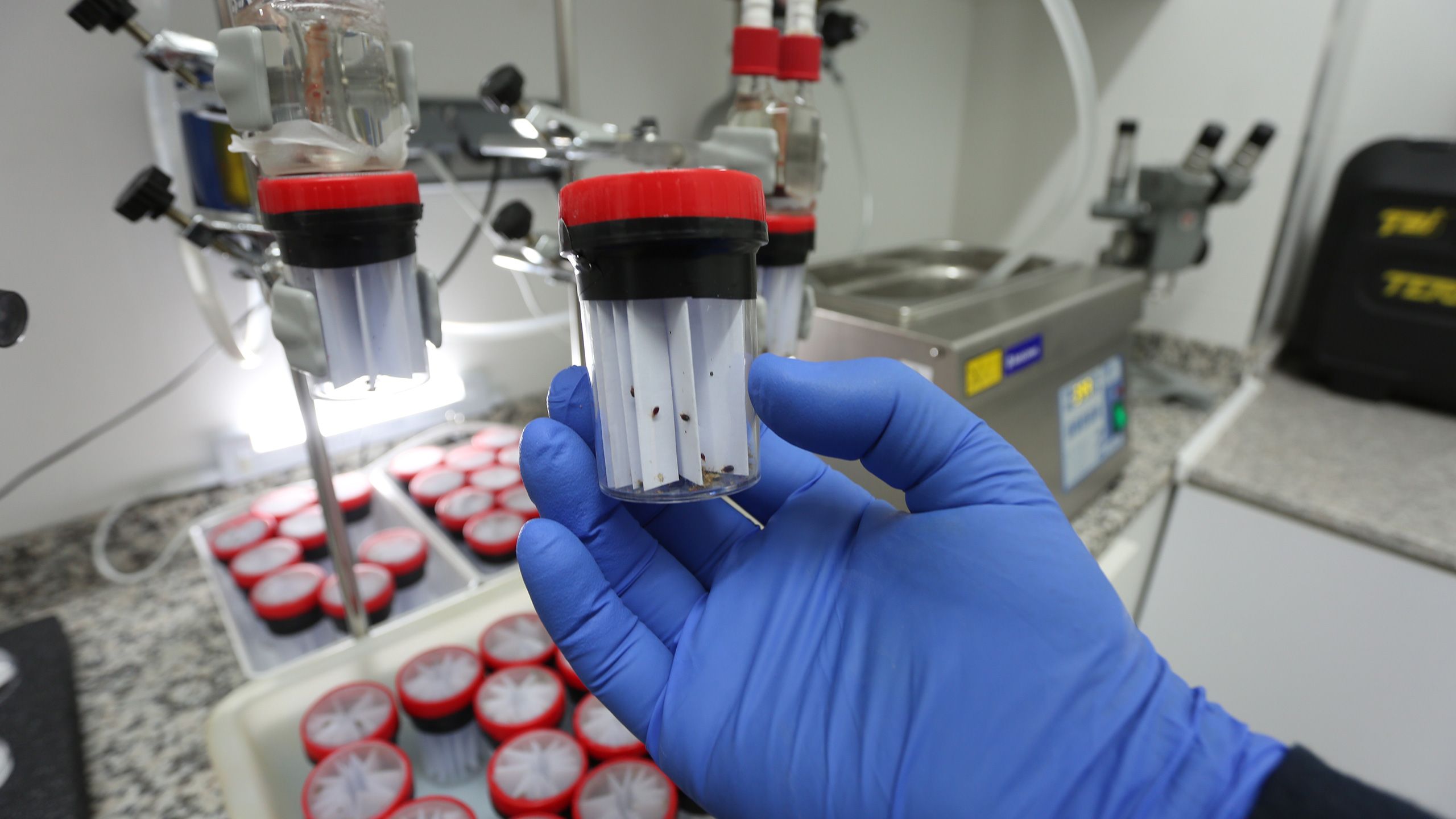 cimexlab-forschungslabor-blogheader