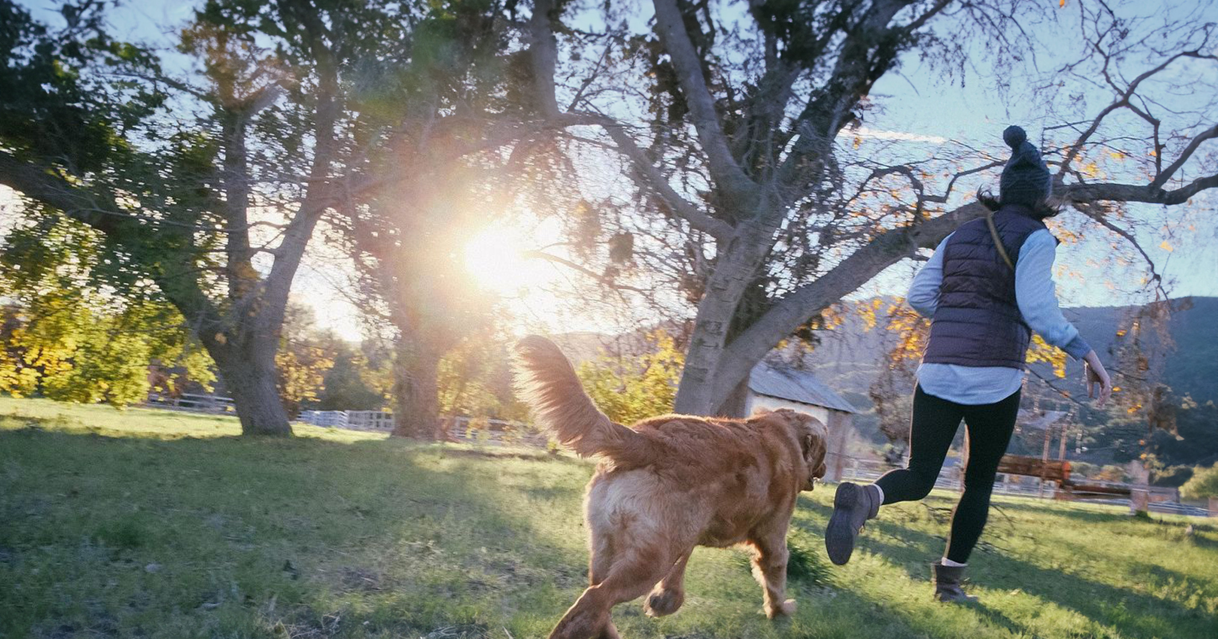 Unterschiede zwischen Bettwanzen und anderen Insekten