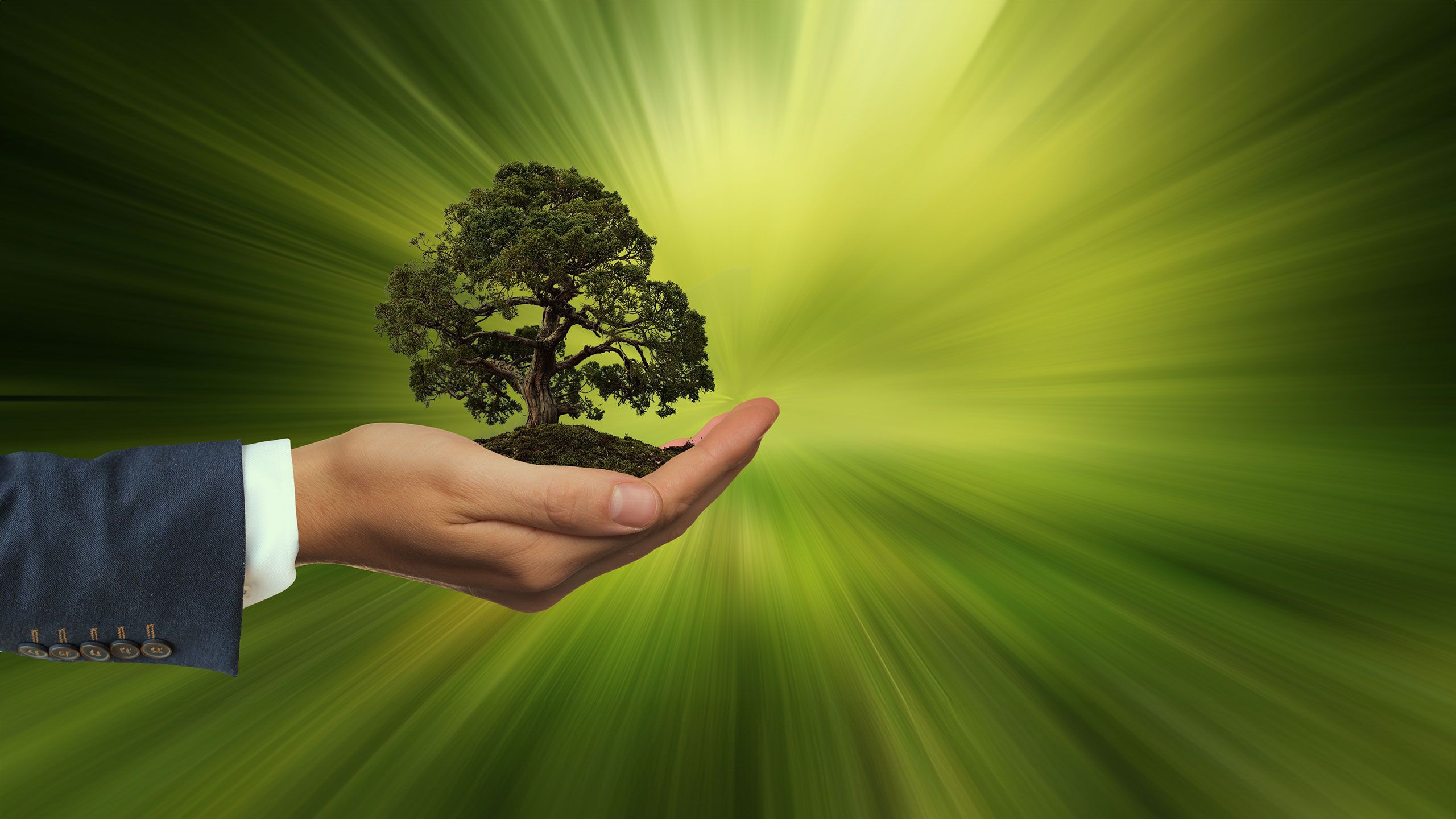 Nachhaltigkeit bei Anticimex