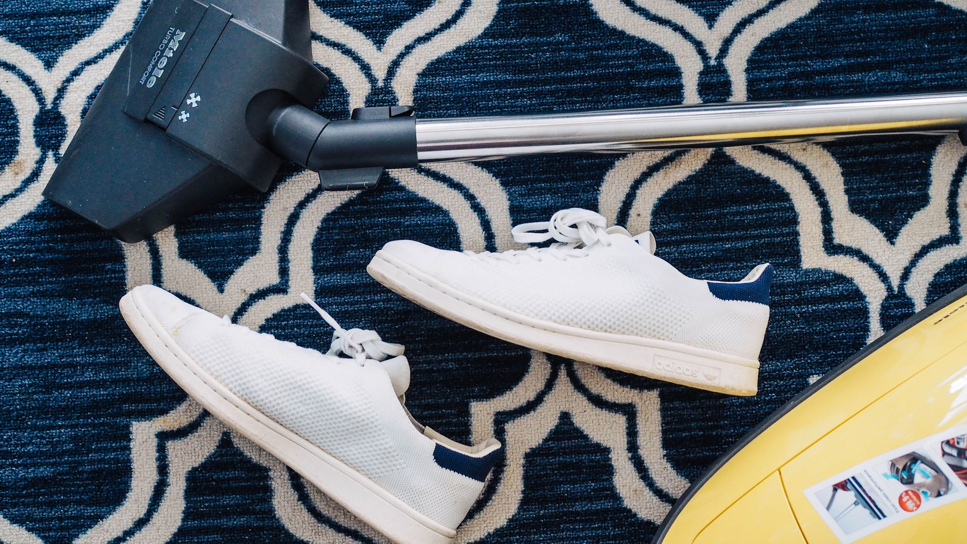 Staubsaugen gegen Bettwanzen