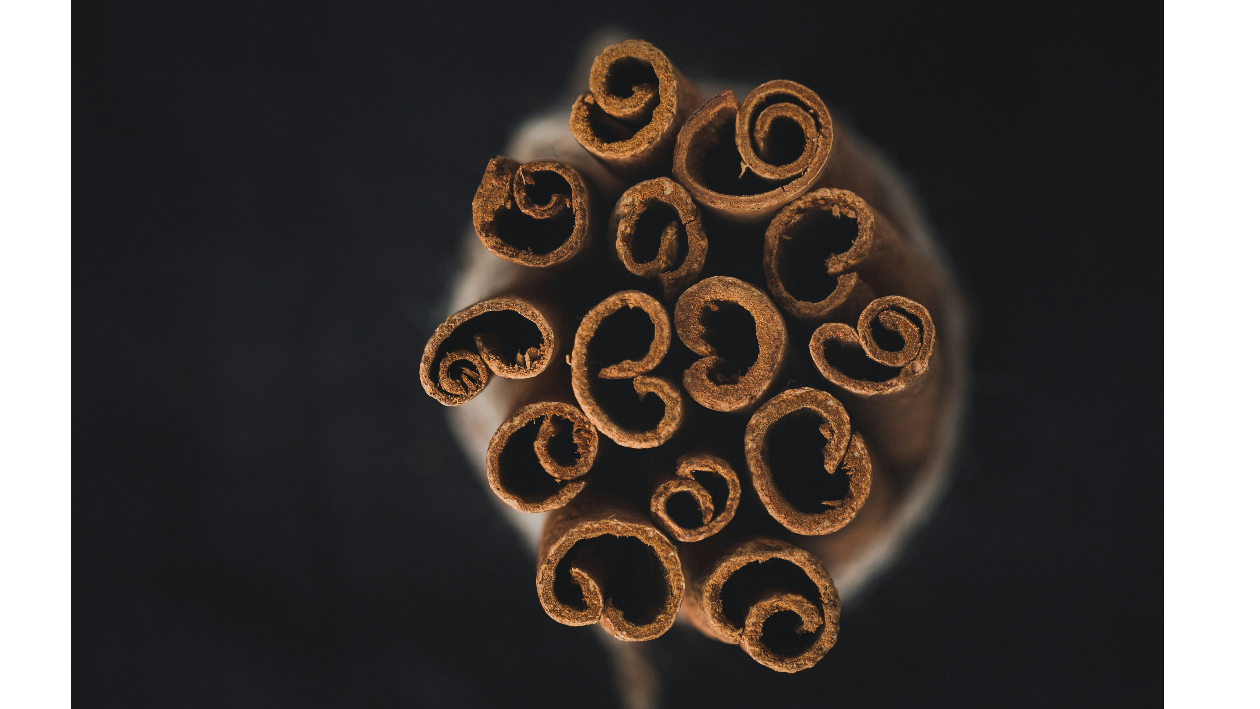 Tabakkäfer loswerden