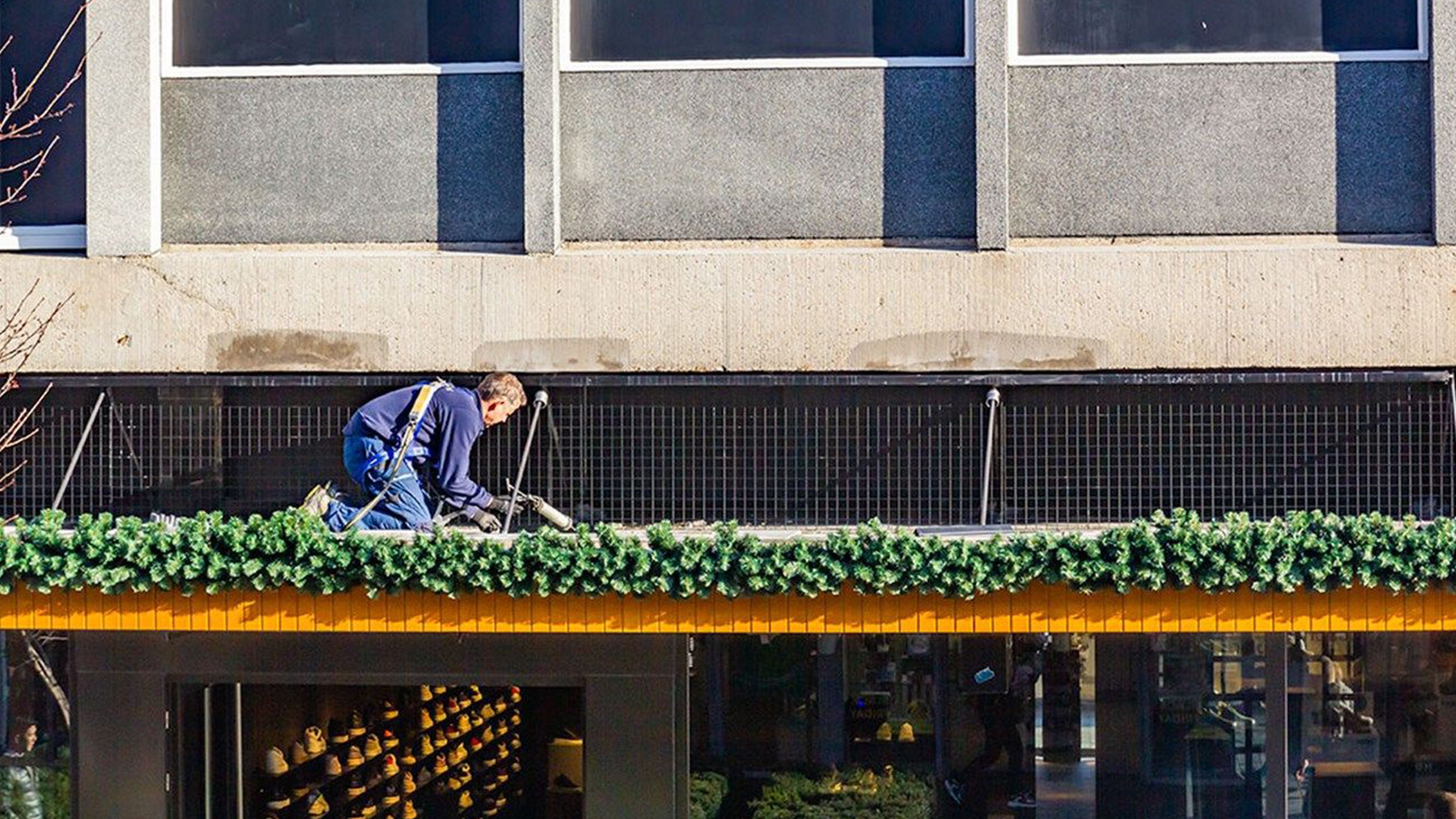 maßgeschneidertes Taubennetz