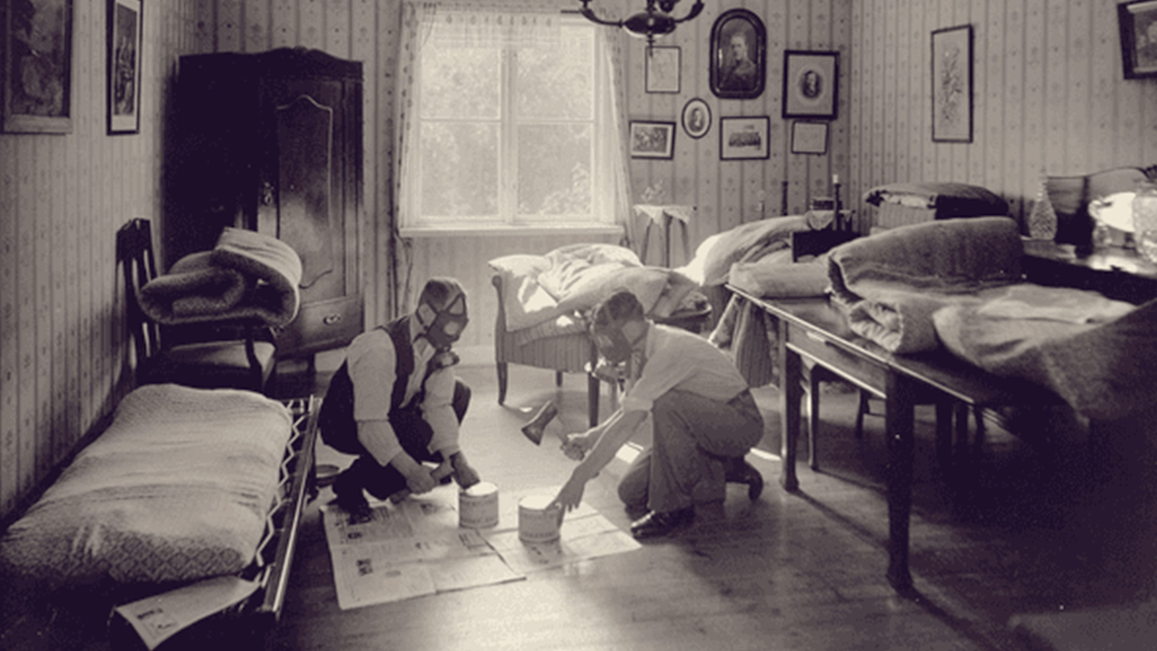 Woher kommen Bettwanzen?