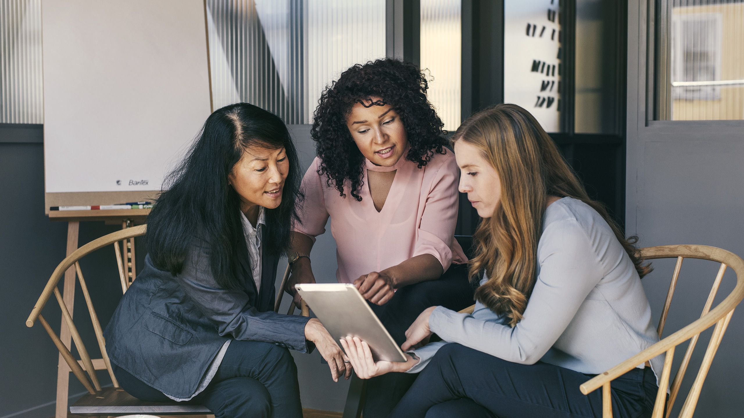 anticimex-kuendigt-markteintritt-in-den-usa-an-blogheader