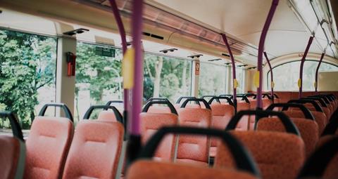 les punaises de lit dans votre bâtiment