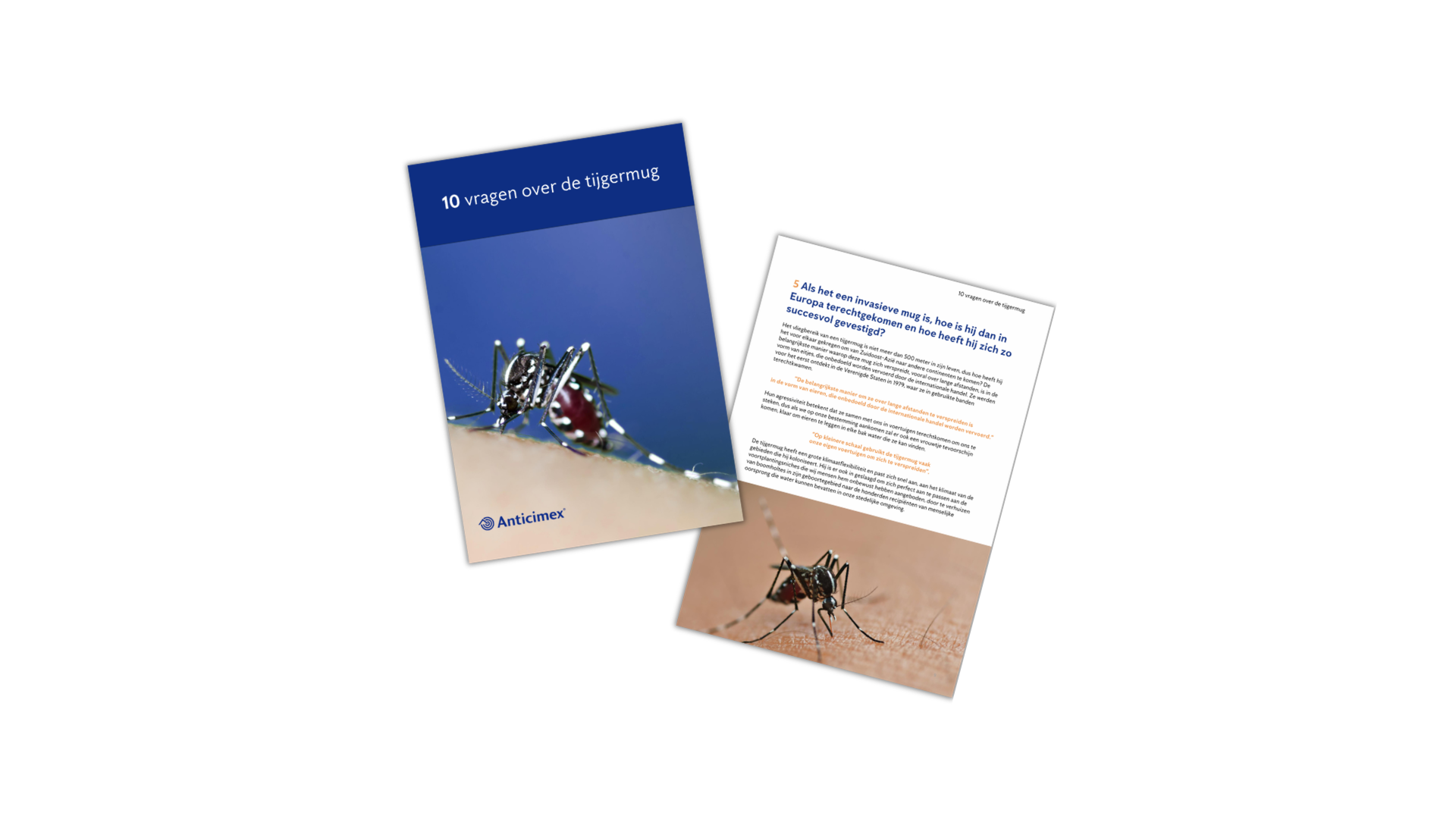 Two documents about tiger mosquitoes, one showing a mosquito feeding.