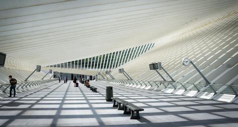 lutte contre les nuisibles liège