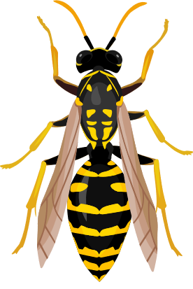 lutter contre les guêpes