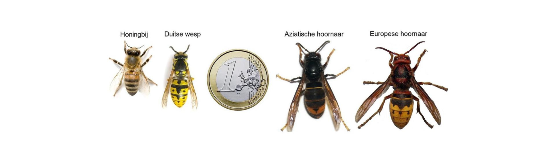 verschil