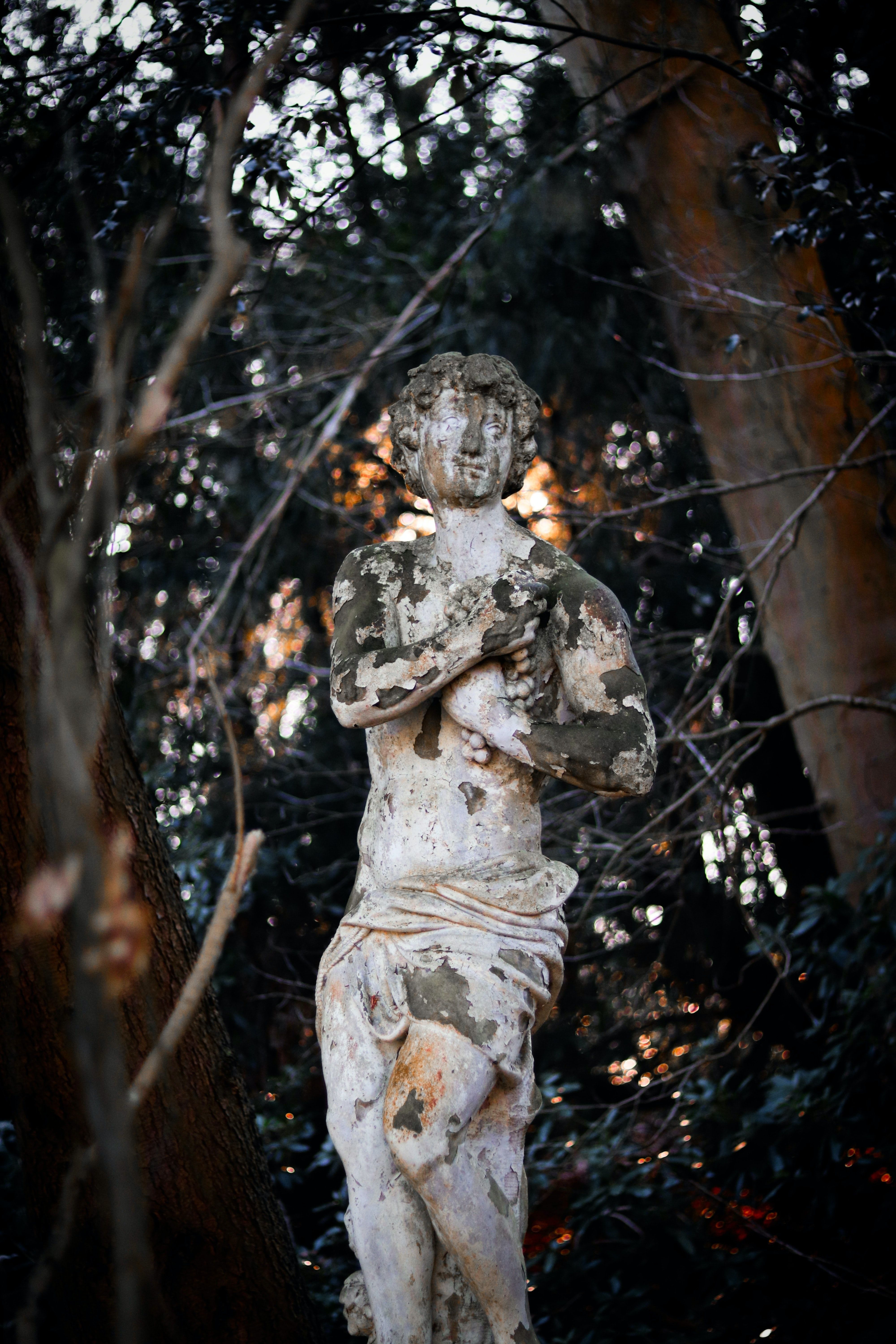 ongediertebestrijding Brasschaat