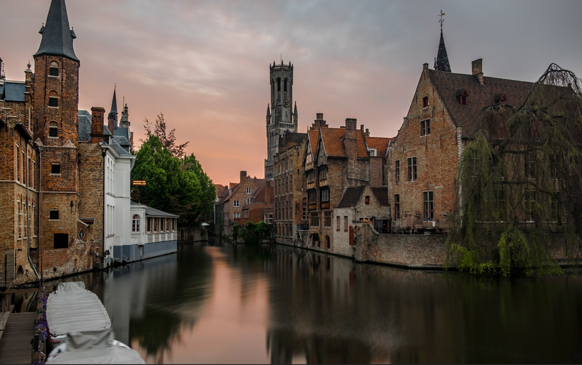 lutte contre les nuisibles Roulers