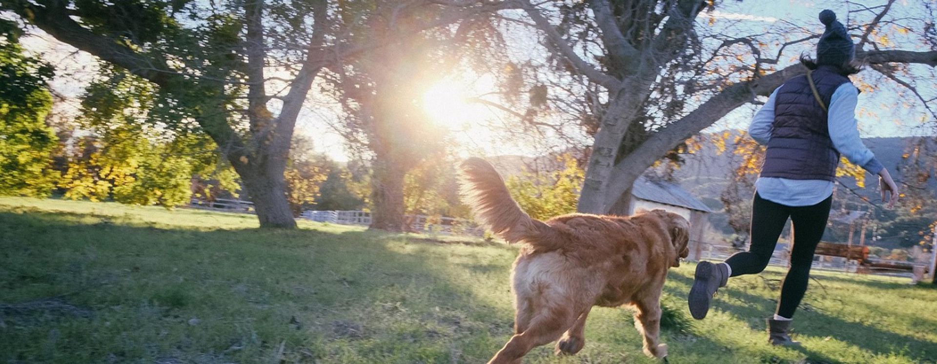 Hoe Komen Vlooien In Huis Zonder Huisdieren Vogels