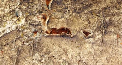 traitement anti-mérule de maison