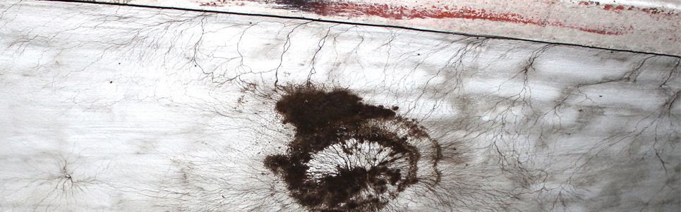 traitement contre la mérule de cave