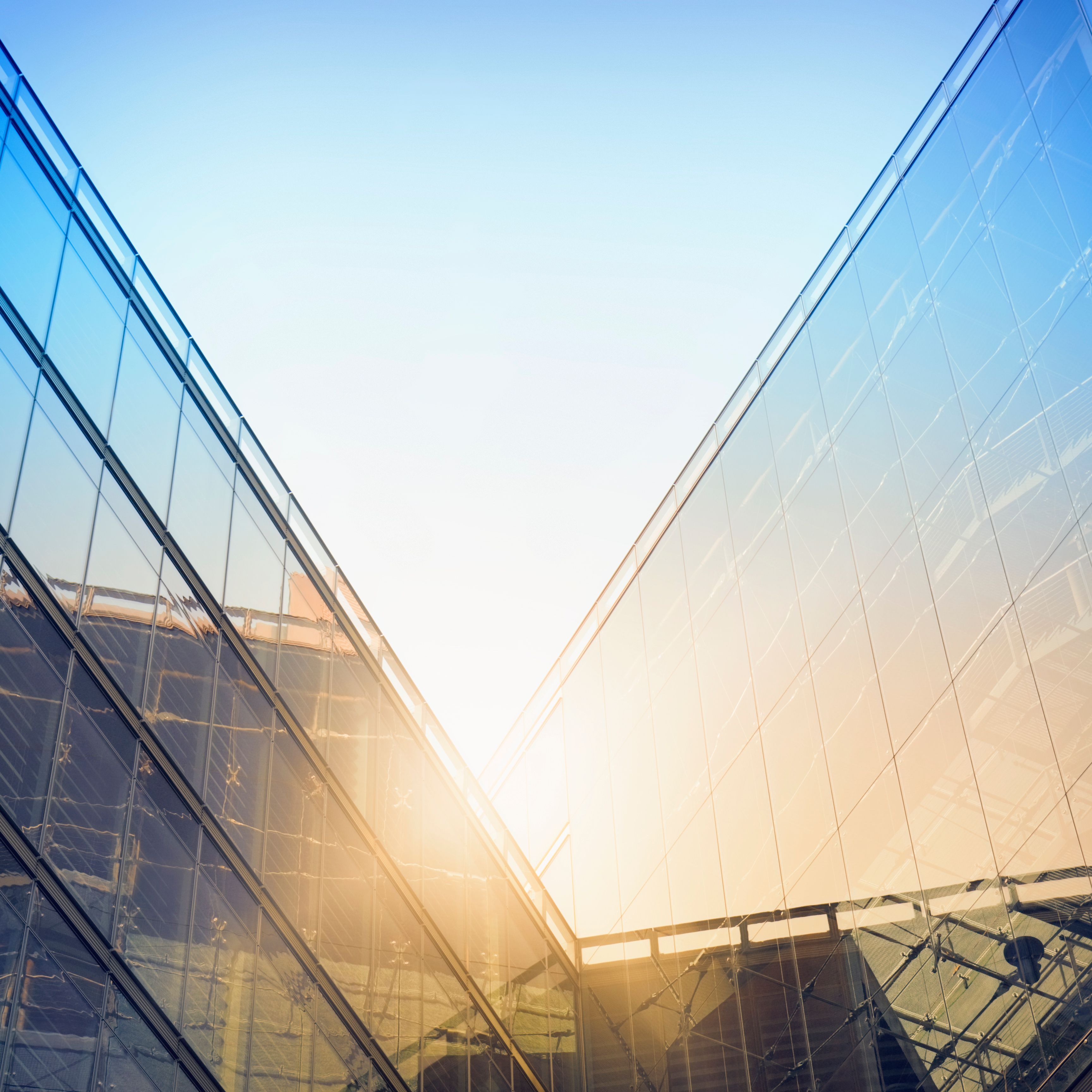 anticimex in willebroek 