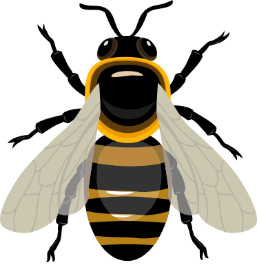 abeilles, espèce protégé