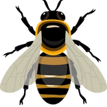 abeilles, espèce protégé