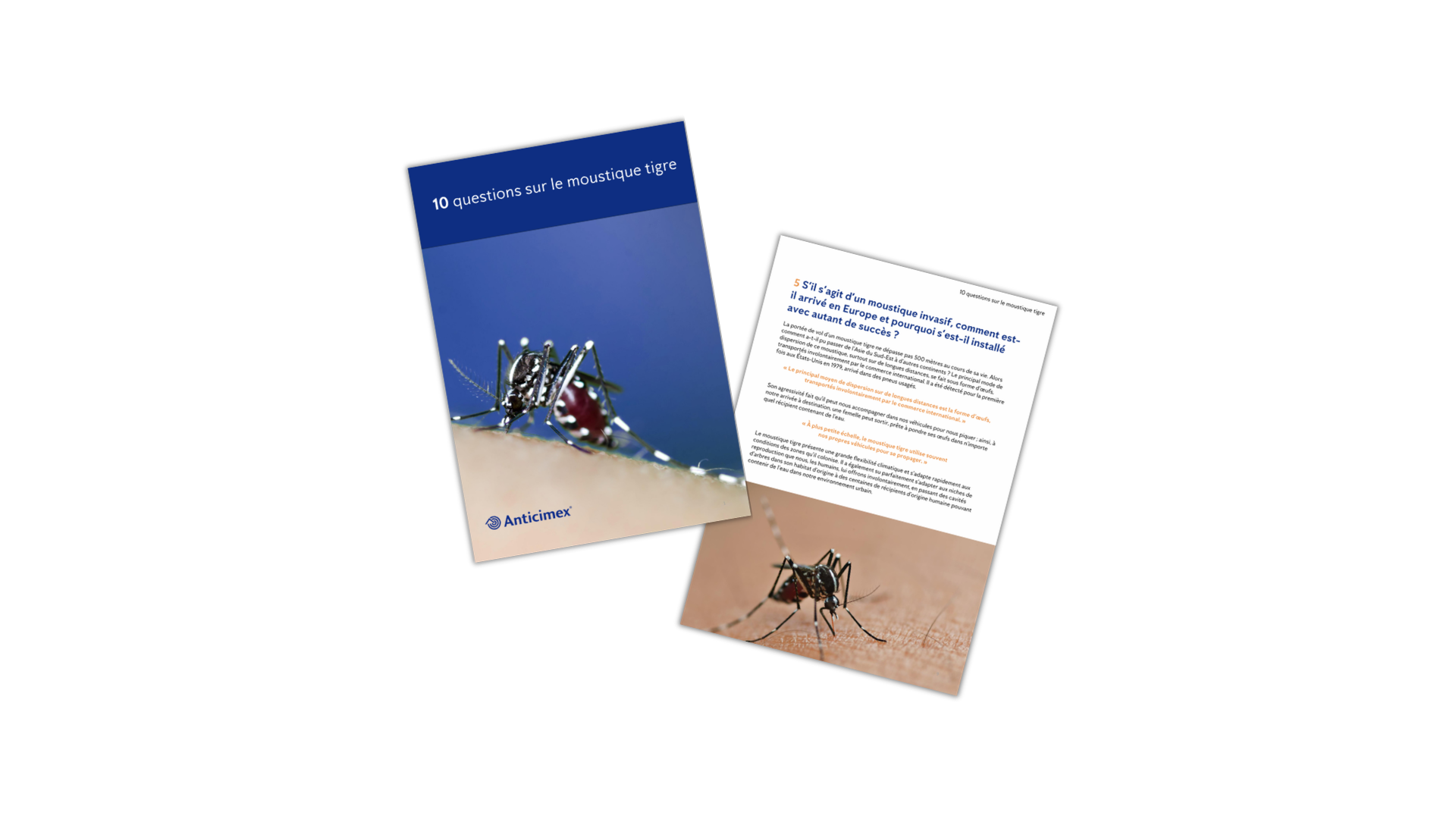 Two brochures about tiger mosquitoes: one shows a mosquito biting skin with a blood-filled belly and the title '10 questions on the tiger mosquito'; the other displays text about invasive mosquitoes.
