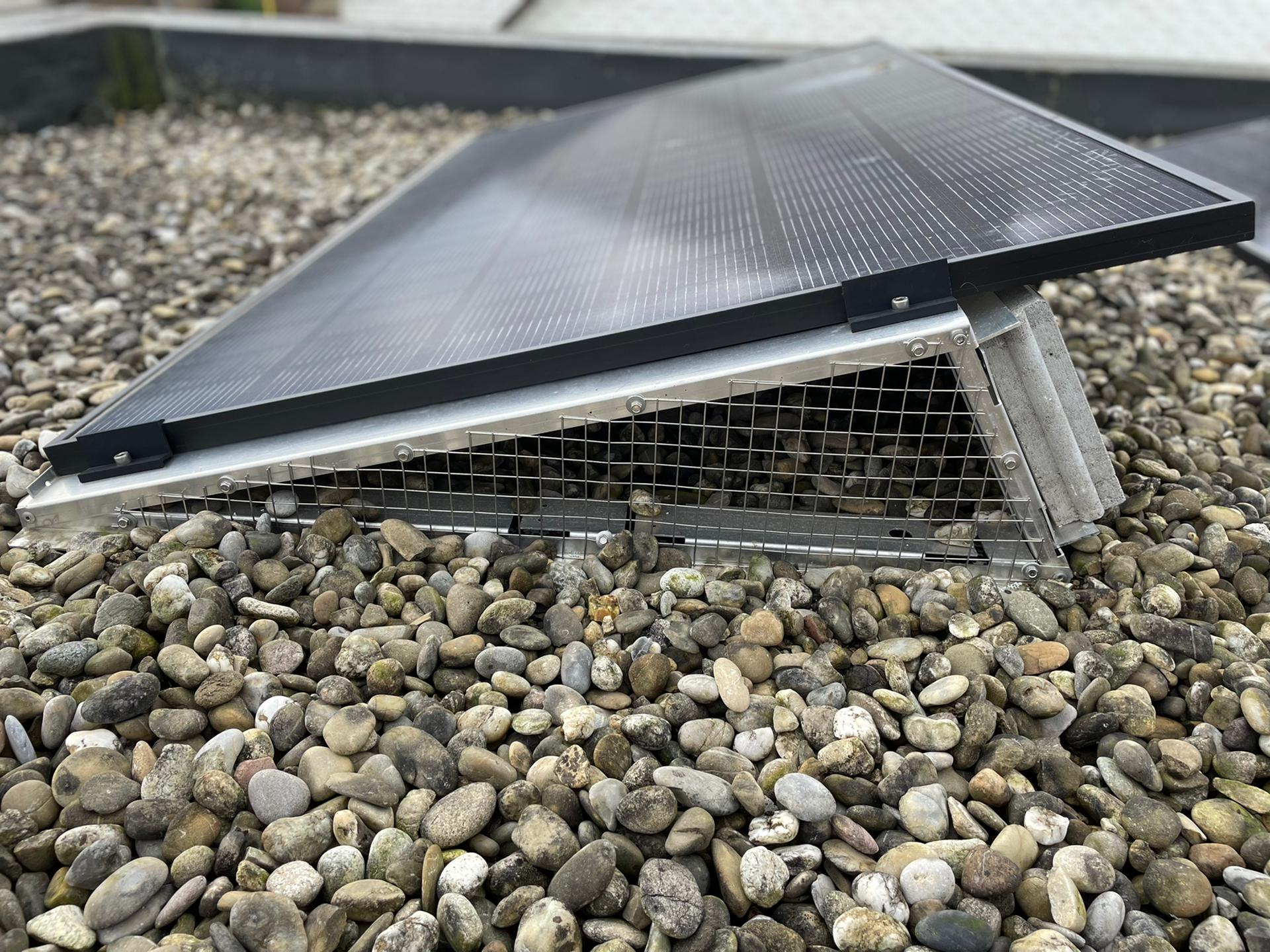 protection contre les oiseaux pour panneaux solaires