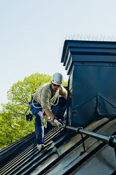 ongediertebestrijdingsdiensten