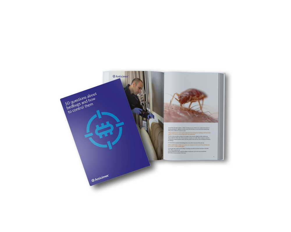 tout ce qu'il faut savoir sur les punaises de lit