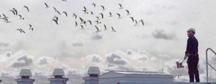 vogelnetten voor ongediertebestrijding