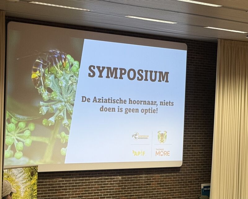 symposium aziatische hoornaar