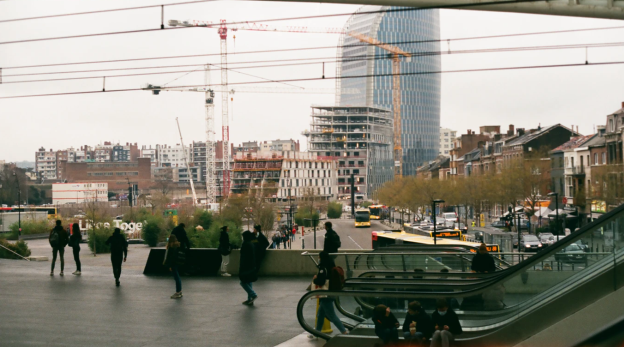 ongediertebestrijding luik