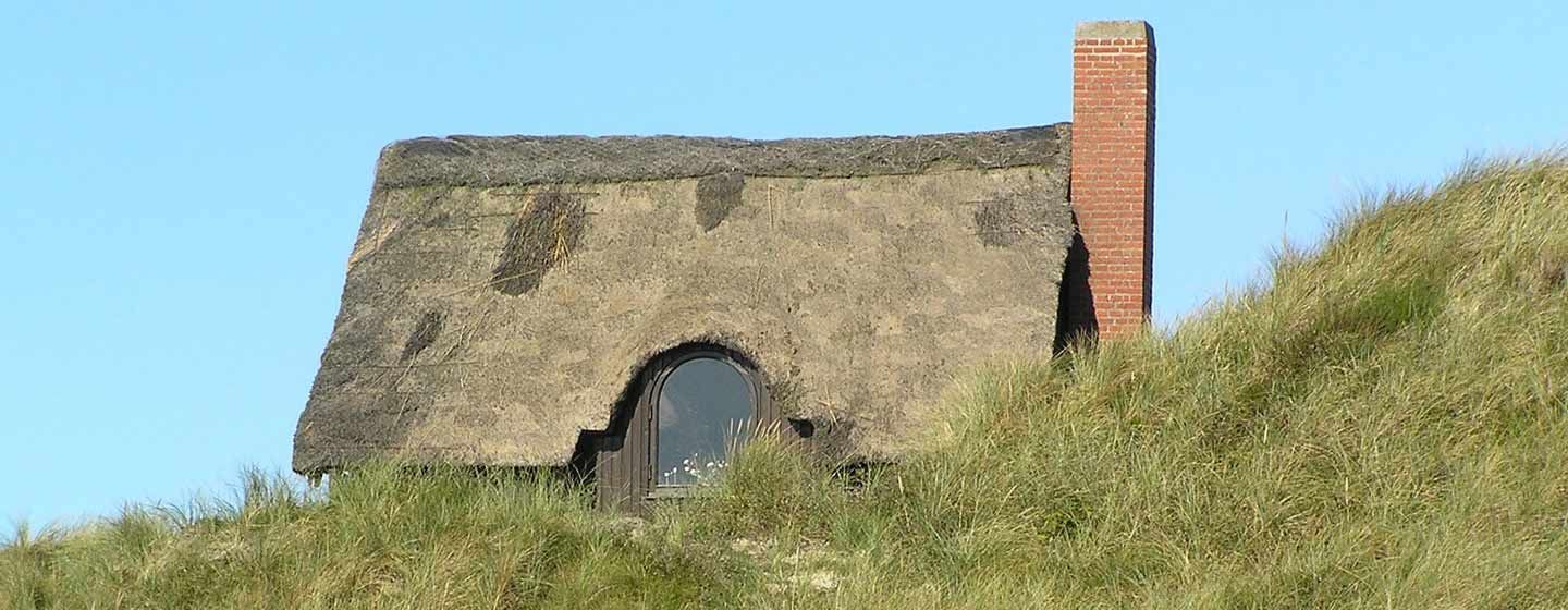 Tid til forårsklargøring af sommerhus. Har du haft ubudne skadedyr? Hvis ja - kontakt Anticimex