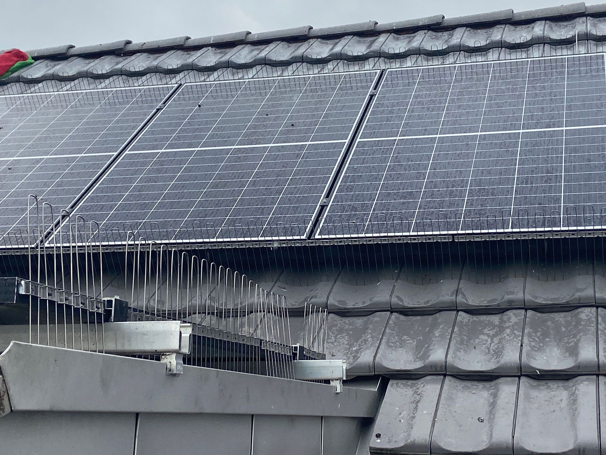 Fuglepigge - solpaneler fuglesikring