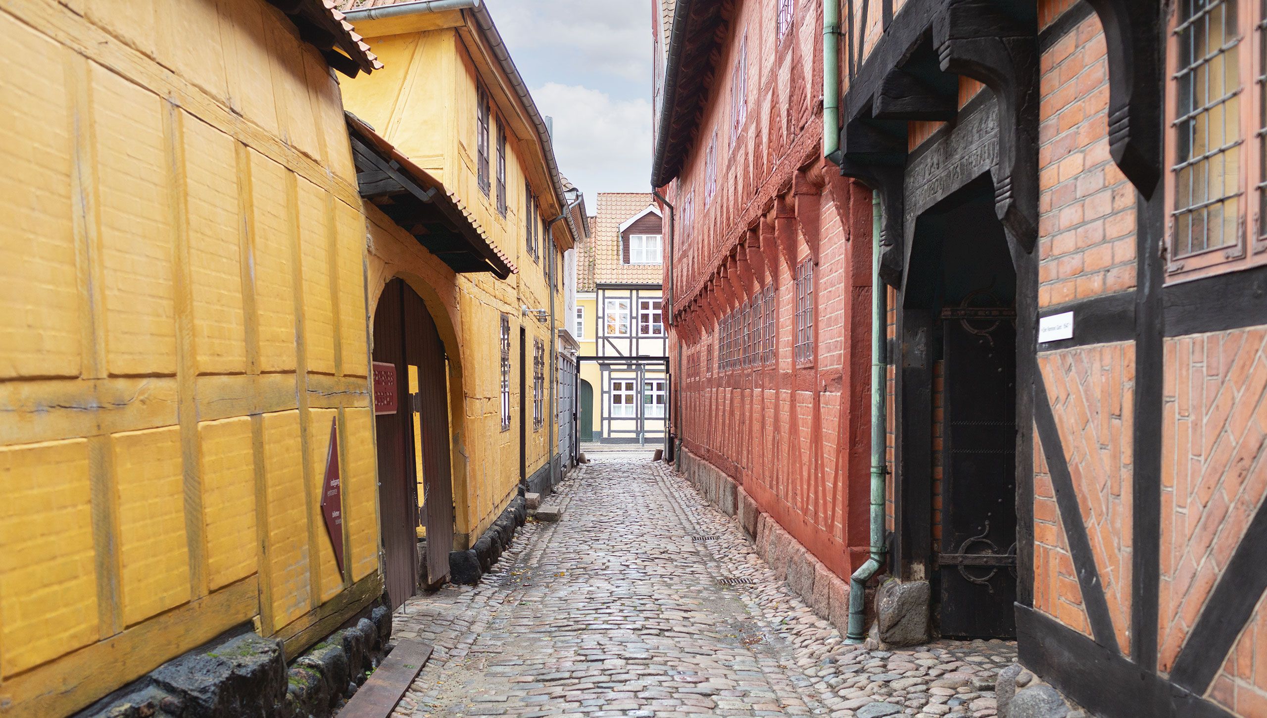 Bekæmpelse af borebiller i Odense