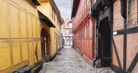 Bekæmpelse af borebiller i Odense