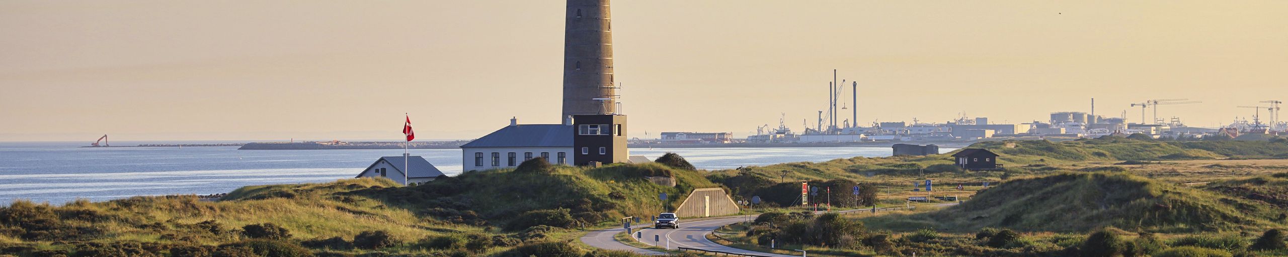 Væggelusbekæmpelse i Jylland