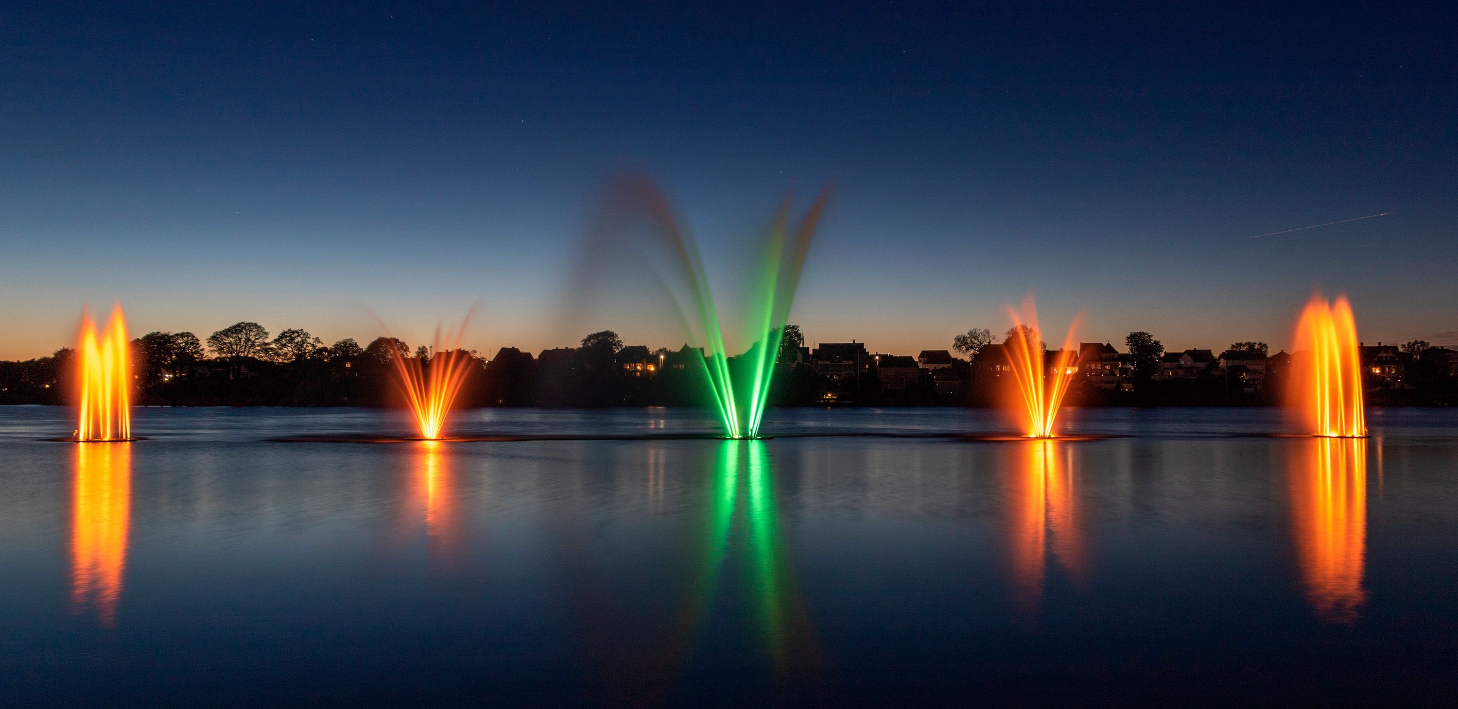 Skadedyrsbekæmpelse i Silkeborg