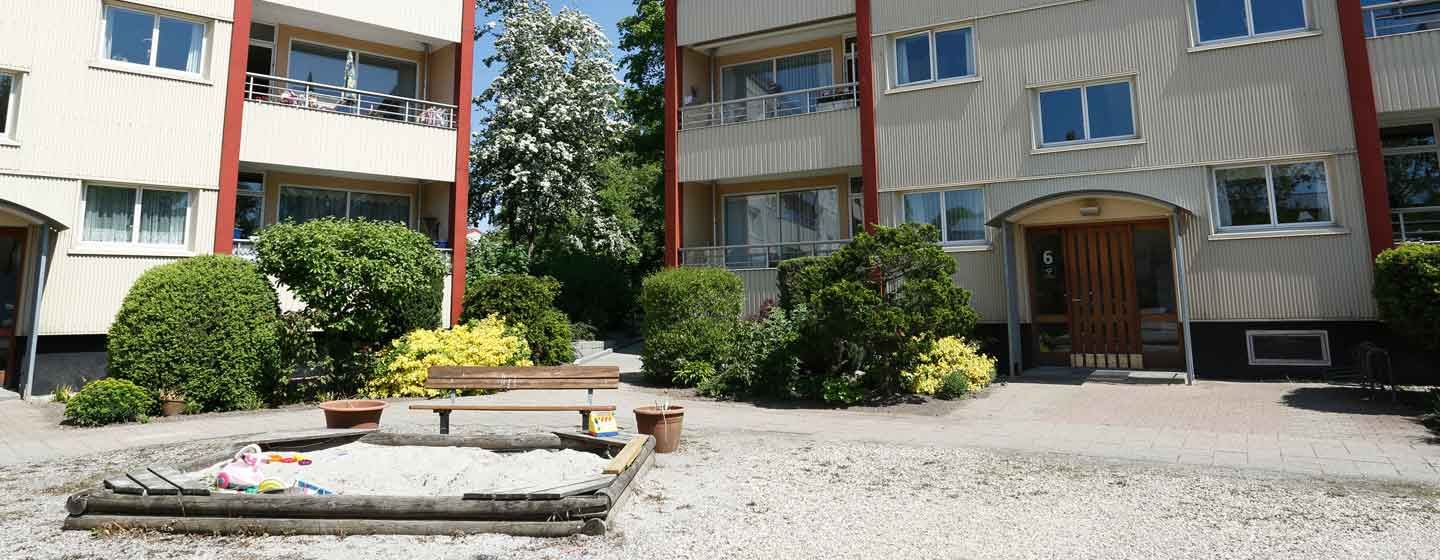 Skadedyrsbekæmpelse for boligforeninger - det klarer Anticimex