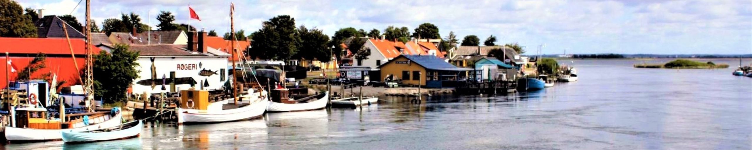 Bekæmpelse af væggelus på Sjælland