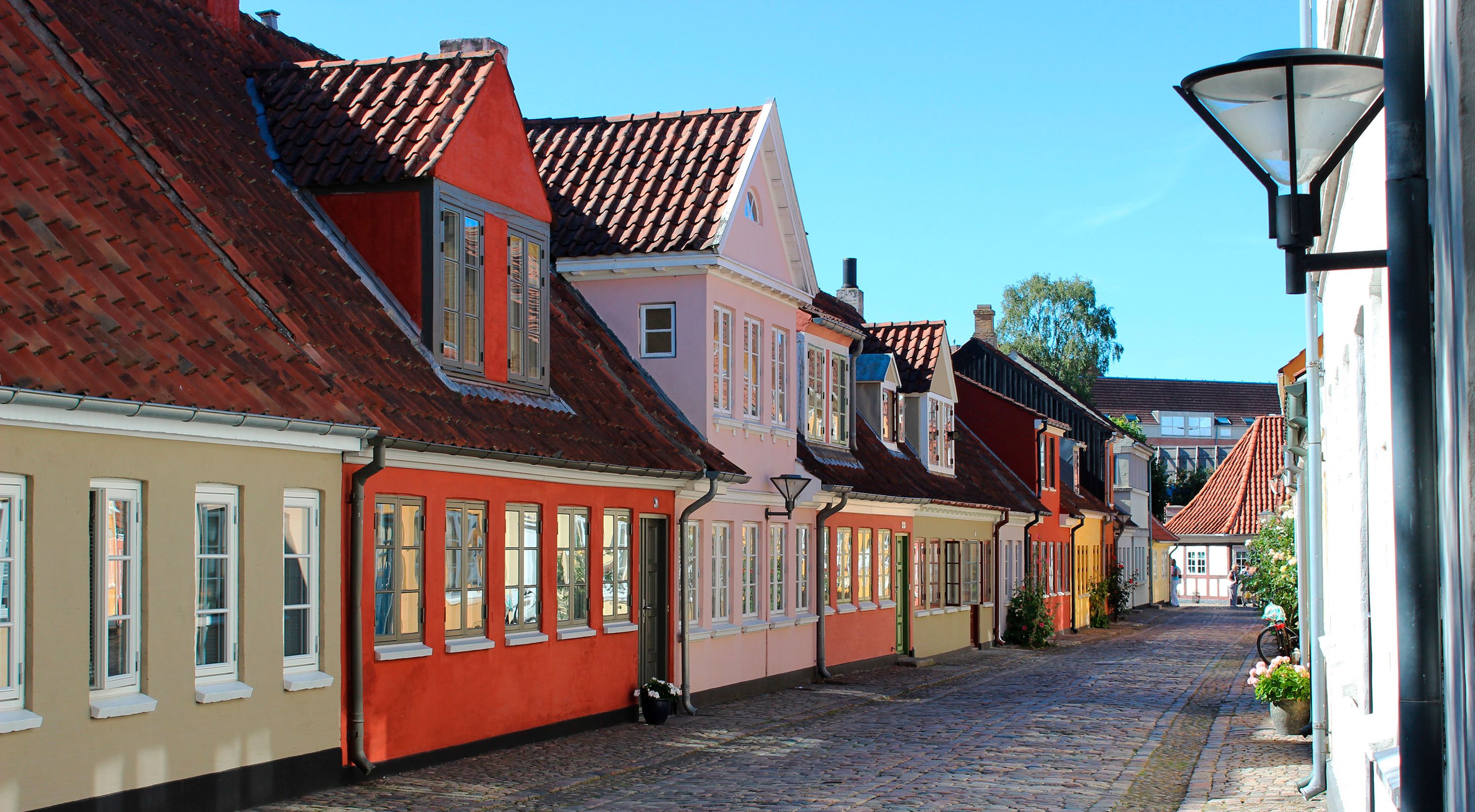 Bekæmpelse af skægkræ i Odense