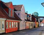 Væggelusbekæmpelse i Odense