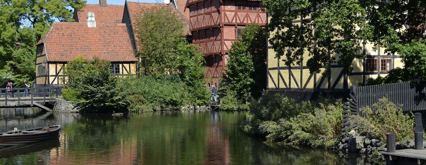 Skadedyrsbekæmpelse i Aarhus