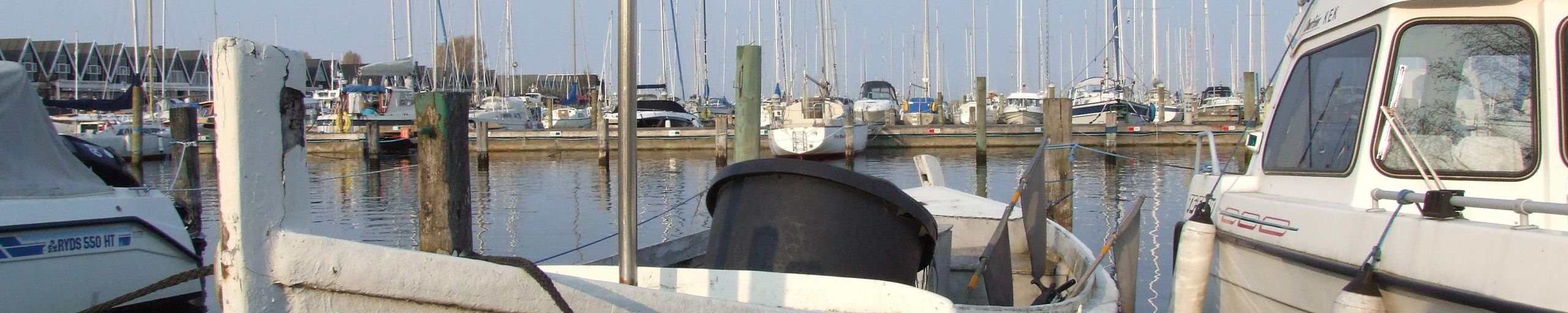 Skadedyrsbekæmpelse i Nordsjælland