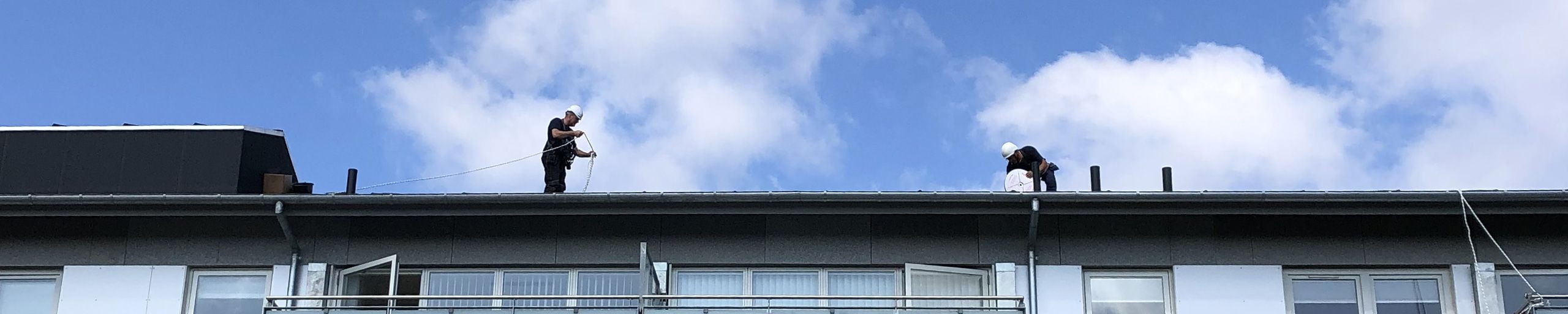 Anticimex løser mågeproblem med opsætning af fuglesikring hos Boli.nu